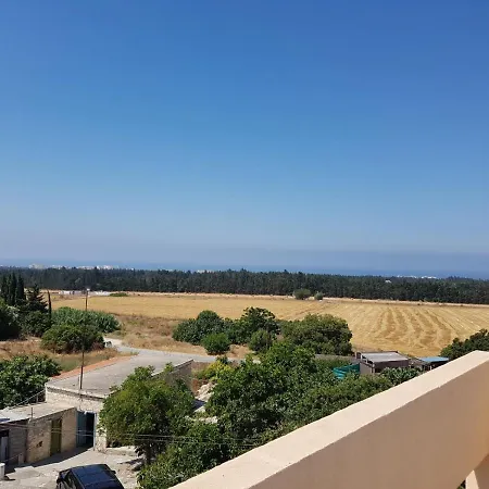 Lenosaspasiacourt *